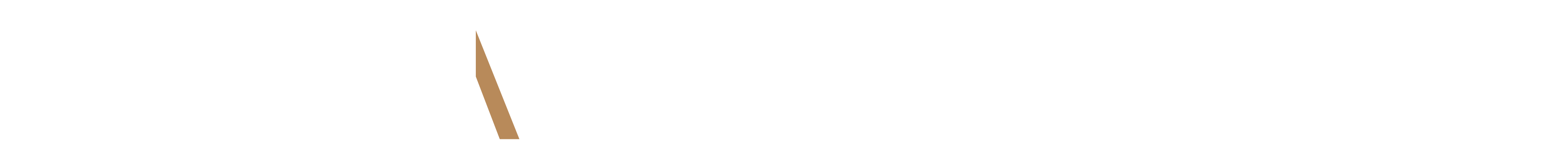 Intarmour